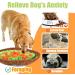 Newooe Snuffle Mat for Dogs Pet Snuffle Mat Food Sniffing Feeding Mat Natural Foraging Skills Slow Feeding Puppy Training Mat for Boredom and Stress Relief Encourages Dogs (Green Orange) - Buy Online on GoSupps.com