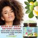 Botanical Beauty TAMANU OIL BUTTER RAW 100% Pure Natural VIRGIN UNREFINED Cold-Pressed Carrier for Face Skin Body Hair Lip Nails. Rich in Vitamin E (4 Fl Oz) 4 Fl Oz (Pack of 1) - Buy Online on GoSupps.com