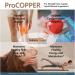 Ionic Copper Drops 30 PPM Premium Bioavailable Liquid Copper Supplement for General Wellness & Trace Mineral Support Amber Glass Bottle with Dropper 4 fl oz 4 Fl Oz (Pack of 1) - Buy Online on GoSupps.com