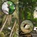 16x52 Monocular Dual Focus Optics Zoom Telescope for Birds Watching/Wildlife/Hunting/Camping/Hiking/Tourism/Armoring/Living Concert 66m/8000m - Buy Online on GoSupps.com