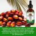 AIQIUSHA Batana Oil for Hair Growth - 100% Organic Cold Pressed 120ML | Pure Essential Massage Oil for Hair Skin & Eyelashes - Anti-Aging Benefits - Buy Online on GoSupps.com