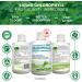 Liquid Chlorophyll Mint 5X Concentrated 500ml Cold Extracted from Non-GMO Alfalfa - Detox - Alkaline - Natural Body Deodorant Antioxidant - Made in Canada - Buy Online on GoSupps.com