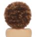 GKtineke 10 Inch Afro Curly Wig with Bangs for Black Women- Short Kinky Synthetic Hair Wig (Mixed Brown) - Buy Online on GoSupps.com