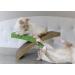Petstages Cardboard Cat Scratchers - Lounge and Games for Easy Cat Life - Buy Online on GoSupps.com