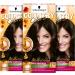 Country Colors intensive tint 70 Brazil Dark Brown (3 x 123ml) level 2 temporary hair color for intensive results coloring lasts up to 8 weeks without ammonia 70 brazil dark brown (3 pack)