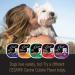CESAR CLASSICS Filet Mignon Wet Dog Food 3.5 oz, Pack of 24 - Buy Online on GoSupps.com