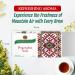 KUKER Rhodope Herbal Tea - Bulgarian Tea Rhodopean Blend - Wild Thyme Tea Rosehip Apple & Yarrow Herbs Fruit & Leaves of Mountain Tea Bulgarian Herbal Tea - 20 Mountain Tea Bags 30g - Buy Online on GoSupps.com