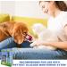 Advocate PetTest 21G Sterile Twist-Top Lancets for Dogs & Cats - 50 Lancets - Buy Online on GoSupps.com