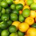 Light Lemon-Lime Fitness Syrup | FruttaMax | Sugar-Free & Stevia | 60% Fruit Content | 500ml - Shop Now! - Buy Online on GoSupps.com