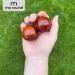 Two Noble Maidu Wooden Balls 45mm with Bamboo Rack - Hand Therapy & Qi Gong Relaxation | Hand Flatterer for Stress Relief - Buy Online on GoSupps.com