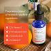 serumtologie C Serum 22 - Pure Vitamin C Serum with Hyaluronic Acid & Ferulic Acid | Anti-Aging Serum for Dark Spots, Fine Lines, Wrinkles | Brightening Serum - 1.15 Fl Oz - Buy Online on GoSupps.com