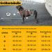 Huntboo Break-Proof Dog Harness for Large Dogs | Reflective Adjustable Breathable Vest with Padded Handle - Perfect for Walking & Running (Red L) - Buy Online on GoSupps.com