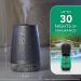 Yankee Candle Diffuser Kit - Peaceful Dreams Sleep Set | International Shipping Available - Buy Online on GoSupps.com