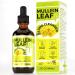 Organic Mullein Drops for Lungs: Mullein Leaf Extract for Lungs - Bronchial Cleanse for Herbal Supplements 2 floz - Mullins Detox Lungs Respiratory Health Support
