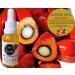 Nativilis Ojon Caiaue GOLDEN FRACTIONATED Oil - (Elaeis oleifera) NATURAL HAIR SKIN BOOSTER Rainforest Virgin Oil - revitalizes damaged follicles hair growth volumize and get tame frizz Copaiba - Buy Online on GoSupps.com