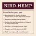 Hemp Well Bird Hemp Oil 2oz - Reduces Feather Plucking, Suppresses Destructive Behavior, Promotes Relaxation & Immune Support - Organically Sourced - Buy Online on GoSupps.com