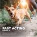 GNC Pets Advanced Styptic Powder for Dogs | Styptic Powder for Dogs  Use for Nail Clipping | Stop Bleeding with Styptic Powder for Dogs | Dog Styptic Powder  0.5 oz (FF14825) - Buy Online on GoSupps.com