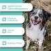MEDIDOG Dental Fresh & Clean Spray - 250 ml XL Pack for Dogs | Tartar Prevention & Fresh Breath | Best Dental Care for Dogs - Buy Online on GoSupps.com