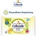 Cottonelle Kids Moist Toilet Paper - Fruity Fresh Biodegradable & Plastic-Free Advantage Pack 12x42 Wipes | Shop Internationally - Buy Online on GoSupps.com