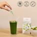 High Potency GOS Prebiotic Fiber Syrup 5g Galactooligosaccharides Supports Digestive Regularity Gut Health & Immune Support Helps Reduce Bloating & Cravings 30 Servings No Grit Sweet Taste - Buy Online on GoSupps.com