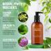 Collective Laboratories Detox Shampoo for Thinning Hair and Hair Loss - Postpartum Treatment - Hair Growth for Women and Men - Buy Online on GoSupps.com