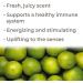 Plant Therapy Key Lime Essential Oil 10 mL (1 oz) 100% Pure Undiluted Natural Aromatherapy for Diffusion is Uplifting and Energizing - Buy Online on GoSupps.com