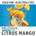 Creatine HCl + Hydration Electrolyte Powder | Citrus Mango | Sugar-Free Rehydration Supplement with Potassium Sodium Zinc & Magnesium (40 Servings - Buy Online on GoSupps.com