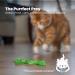 Catstages Orkakat Wiggle Worm Dental Catnip Cat Chew Toy - Buy Online on GoSupps.com