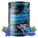 Creatine Monohydrate Gummies 5g for Men & Women - Boost Focus Strength and Endurance Anti-Melting Formula Vegan Gluten-Free Non-GMO 2.5 Gram Creatine per Gummy (Blueberry 90 ct) Blueberry 90 Count (Pack of 1)