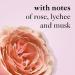 Philosophy Amazing Grace Ballet Rose Shower Gel 16oz - Luxurious Body Wash - Buy Online on GoSupps.com