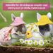 Pet Rabbit Bunny Easter Costume Set with Leash, Hat, and Mini Bag - Pineapple and Cherry Design | Small Animals Accessory for Rabbit, Hedgehog, Ferret, Guinea Pigs, Squirrel - Buy Online on GoSupps.com