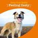 Zesty Paws 5-in-1 Multivitamin Bites for Dogs - Peanut Butter Flavor, 90 Soft Chews - Buy Online on GoSupps.com