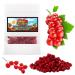 Bite & Delight 200g Freeze Dried Red Currants Sour Crunchy Healthy Snack No Added Sugar Doypack
