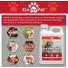 KinderPet Pee Stop Urine Stop Big Value 2.5L Refill for Cat and Dog Repellent Stop Cats and Dogs Repeat Marking Indoors and Outdoors 100% Natural Enzyme Urine Destroyer - Buy Online on GoSupps.com