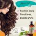 Naissance Cold Pressed Golden Jojoba Oil 8 fl oz - Pure, Natural & Unrefined | Vegan, Hexane Free & Non-GMO | Ideal for Aromatherapy & Massage | Moisturizes Hair & Skin - Buy Online on GoSupps.com