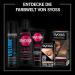Syoss Color 1.4 Blush Warz - Permanent Hair Color 3x115ml | Long-lasting Blue-Black with 80% Less Breakage | International Shipping - Buy Online on GoSupps.com