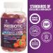 Extra Strength Fiber Gummies for Adults - 120 Gummies, 4g Inulin - Digestion Support Supplement - Buy Online on GoSupps.com