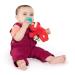 Bright Starts Sesame Street Cozy Coo Soothing Pacifier with Plush Toy - Elmo | BPA-Free | Newborn+ | Green | 4.42x2.04x4.17 Inch - Buy Online on GoSupps.com
