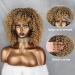 Xinran 14 Blonde Curly Afro Wig for Black Women - Brown to Blonde Mix - Synthetic 70s Kinky Afro Wig - Buy Online on GoSupps.com
