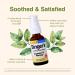 Herbs Etc. Singer's Saving Grace Lemon & Honey - Herbal Remedy Spray Aids Throat Comfort & Health - 1 fl oz 75 Servings - Buy Online on GoSupps.com