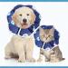 Adjustable Soft Cat Cone Collar | Starry Sky Blue | Postoperative Recovery and Waterproof Protection | Comfortable for Cats, Kittens, Dogs, Rabbits | Small Size - Buy Online on GoSupps.com