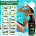 Body Botanicals Professional Sunless Tanning Spray Tan Solution - Organic Essential Oils - Airbrush Formula - 4 Fl Oz (Pack of 1) Mousse - Buy Online on GoSupps.com