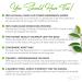 FRESHDRINKUS Premium Soursop Tea Bags - 40 Soursop Leaves Tea Bags - Buy Online on GoSupps.com
