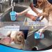 Portable Dog Paw Cleaner - 360 Silicone Washer Cup for Small & Medium Pets (Blue) - Buy Online on GoSupps.com