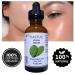 Cactus Vegan Cosmetic Serum | Anti-Aging Natural Moisturizer for Radiant Skin - Buy Online on GoSupps.com