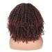 14-Inch Porsmeer Curly Afro Wig for Women | Fluffy Kinky Curly Bob in Dark Brown & Auburn | Volume Hair Wig for Black Women - Buy Online on GoSupps.com