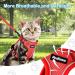 Petbonus Adjustable Cat Dishes & Leash Set - Soft Breathable Small Cat Bowls with Reflex Strips - Ideal for International Shipping - Buy Online on GoSupps.com