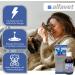 Alfavet Reconvales Energy for Cats - High-Caloric Formula for Convalescence & Hepatic Lipidosis - 180ml Glass Bottle - International Shipping Available - Buy Online on GoSupps.com