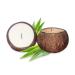 Coconut Bowl Candle 14oz Premium Soy Wood Wicked Coconut Scented Candle Natural Coconut Shell Eco Friendly Ideal for Home and Beach D cor Aromatherapy Candle