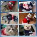 Ranypet Christmas Cat & Dog Sweater Set - 2 Pack Warm Knitted Christmas Pattern for Kittens & Small Dogs XS - Buy Online on GoSupps.com